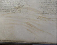 Striation in BL f.131v